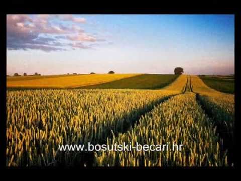 Bosutski bećari feat. Klapa Cambi - Sad kada došla si