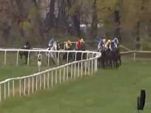 Galopprennbahn Dresden - 22.11.2013 - 2.Rennen