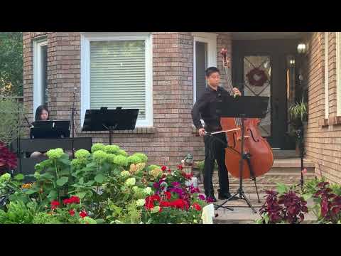 Andante by Domenico Dragonetti