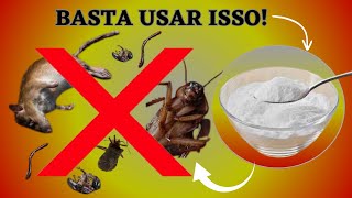 Como matar 7 pragas com Bicarbonato #barata #baratas #ratoborrachudo #acabarcomformigas #percevejo