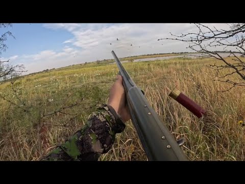 3 Days Hunting Doves & Varmints in the WILD WEST