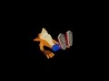 Classic Death Animation