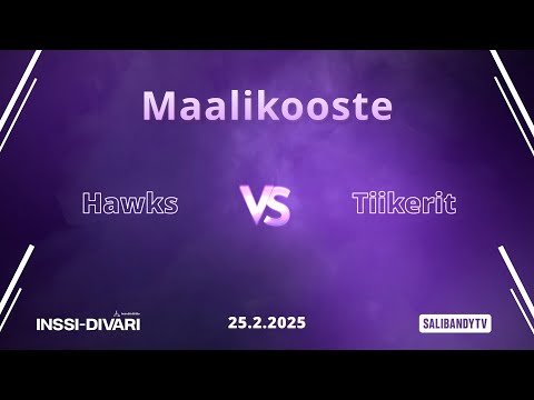 Maalikooste: Hawks - Tiikerit (Inssi-Divari M)