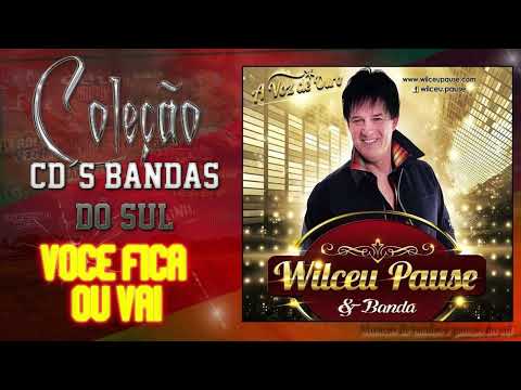 WILCEU PAUSE - VOCE FICA OU VAI -
