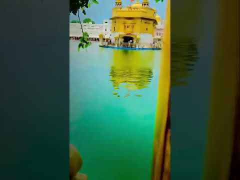 Dhan Dhan guru Ramdas ji 🙏🏻# golden temple #harmandirsahib #darbarsahib #gururamdasji