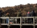 Horsing Around NZ Ep1
