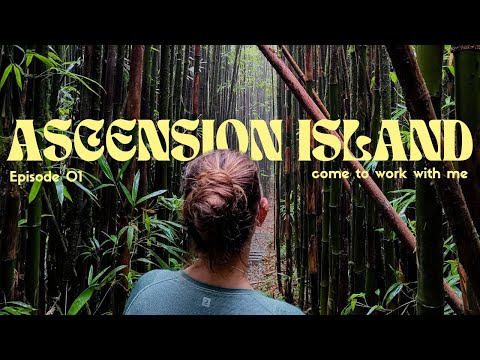 come to work with me on ascension island