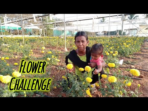 Flower's Challenge 🌼