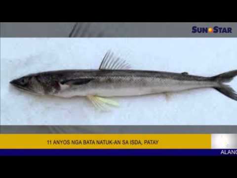 Anim na buwan upo sa isang diyeta ay hindi maaaring mawalan ng timbang Anyo na kung saan upang kumain ng gulay kapag lumaki ka manipis