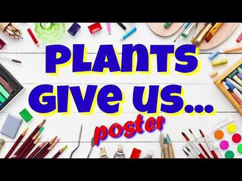 YouTube video about: What plants need to grow poster?