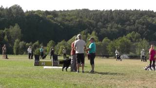 preview picture of video 'Siegerehrung LGA Sachsen vom 18.08 - 19.08.12 in Striegistal OT Böhrigen'