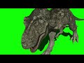 Green Screen T Rex 3 T Rex Running T Rex Roaring