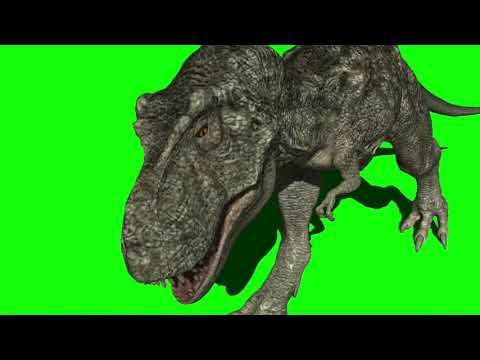 Green Screen T-Rex 3 / T-Rex Running / T-Rex Roaring Video