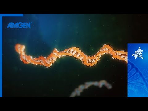 Identifizierung und Isolierung des Gens von Interesse