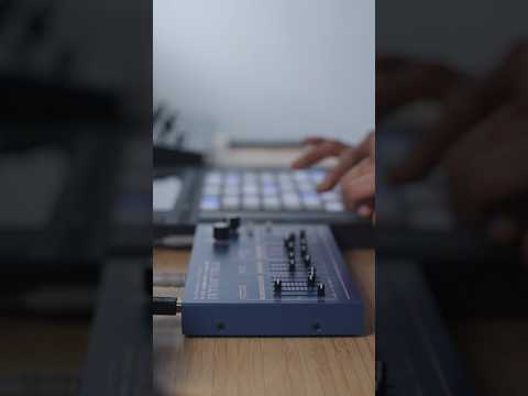 NYMPHES 6 note chords into endless infinite black space #synth #dreadbox #nymphes #electronicmusic