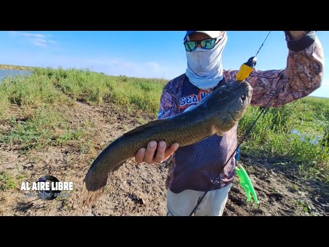 AL AIRE LIBRE EN RAMALLO