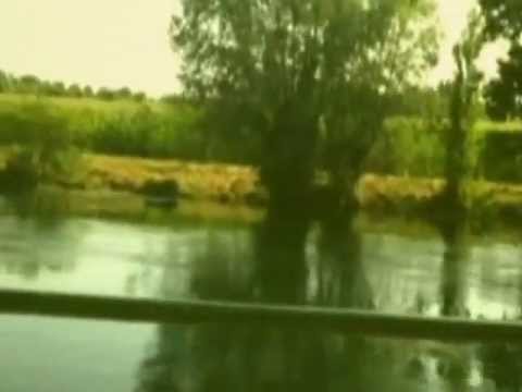 Radiofiera - L'amor che te ga (Official Videoclip)