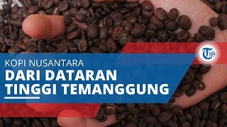 Kopi Temanggung, Tercipta dari Biji Kopi di Dataran Temanggung