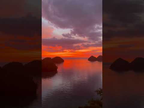 Mesmerized by this beauty. #travel #sunset #beach #fyp #shorts #sipalay #sipalaycity