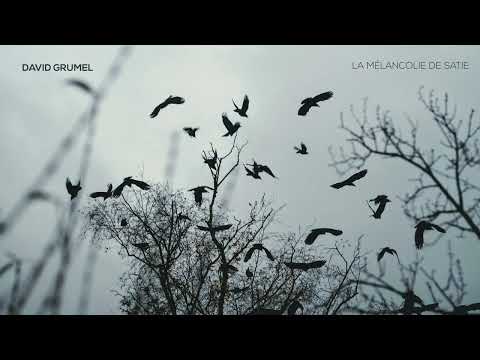 David Grumel « La mélancolie de Satie » - (Audio officiel)