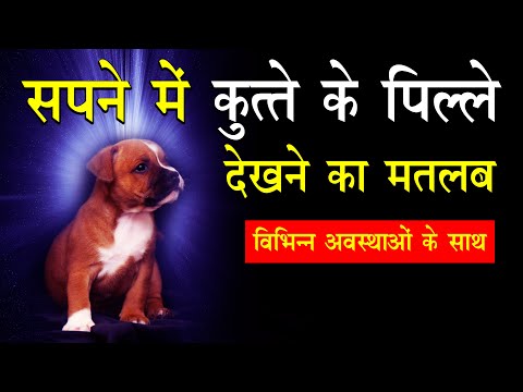 Sapne me kutte ke pille dekhna | Sapne me puppy dekhna | puppies in dream Meaning