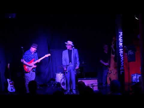 Mark Hummel & The Blues Survivors...Shake, Shake