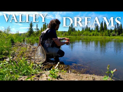 Brook Trout BEAUTIFUL Back Country Creek Fishing