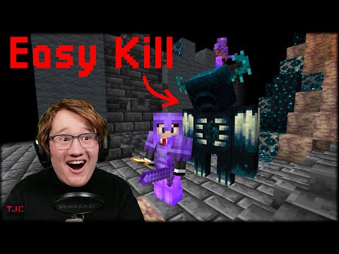 Wie du den WARDEN GANZ EINFACH KILLST | TJC BLIND REACTION