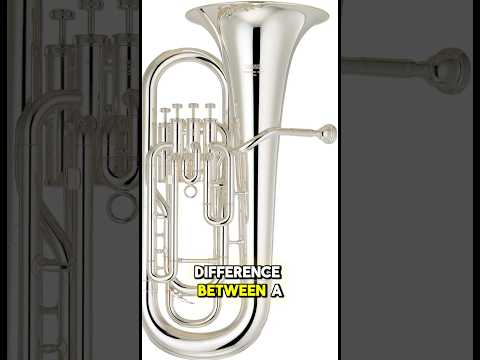 Baritone vs Euphonium: What’s the REAL Difference? #euphonium #baritone #brassband #trumpet #tuba