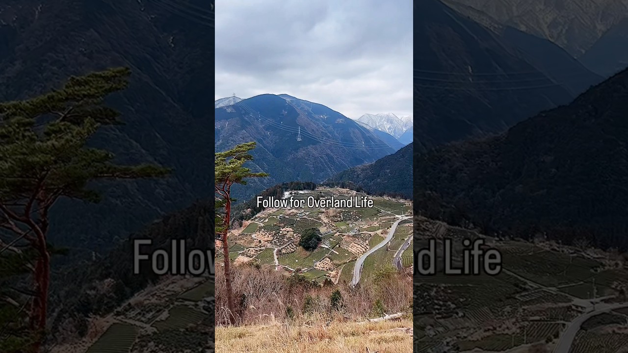 岐阜のマチュピチュへ。天空の茶畑を駆け上がる