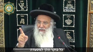 לא לטעות בתפקיד
