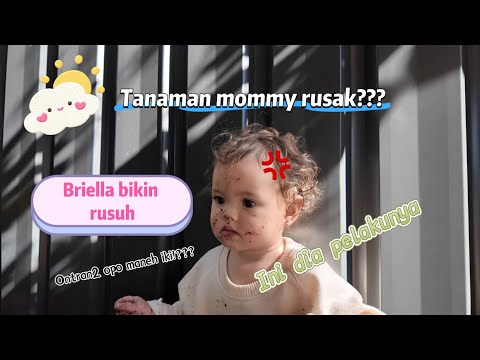 BRIELLA CAUSES TROUBLE AGAIN, MOMMY HAS GONE DOWN🥹