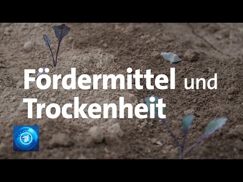 Agrarminister von Bund und Ländern beraten über Coronavirus und Trockenheit