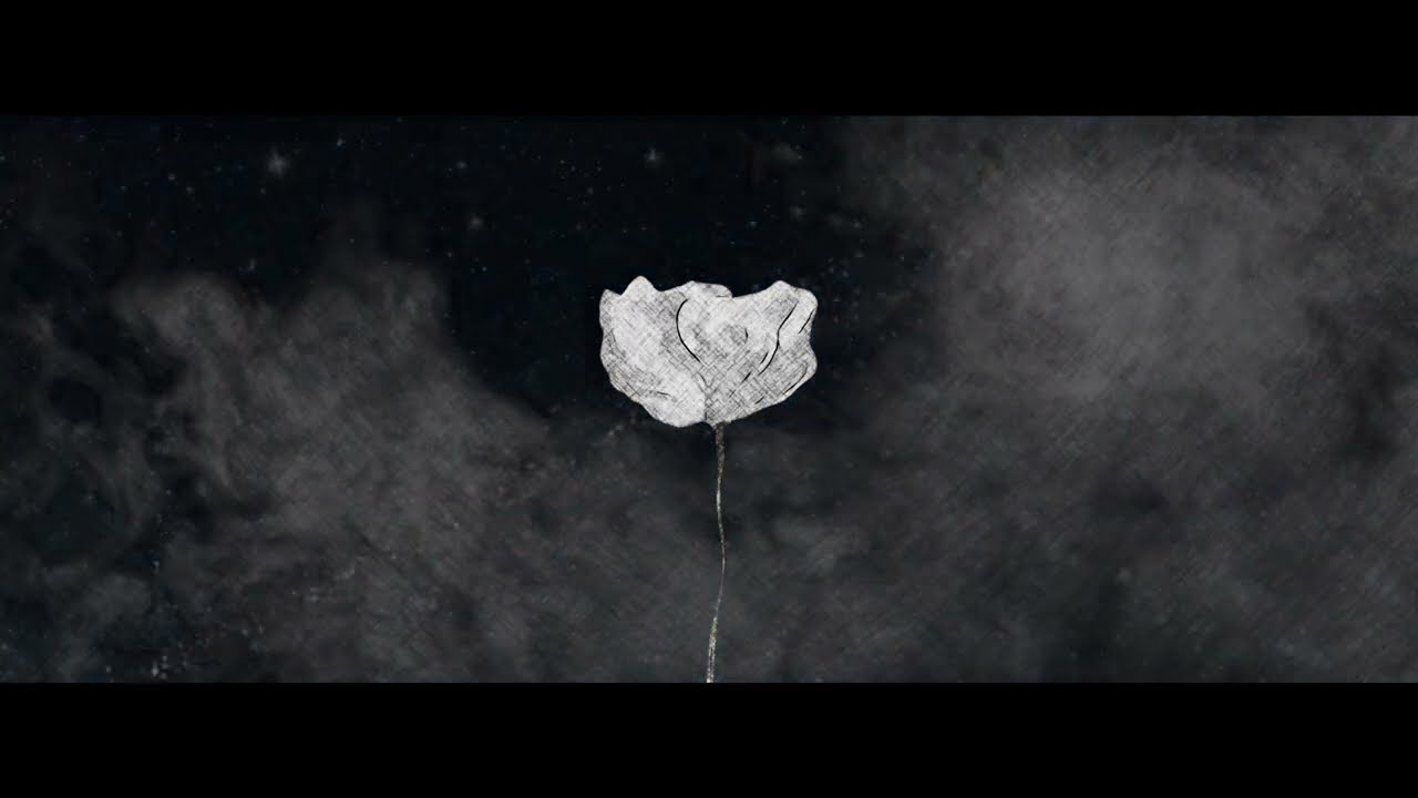 悠作 / Flower wall (Promotional Clip)
