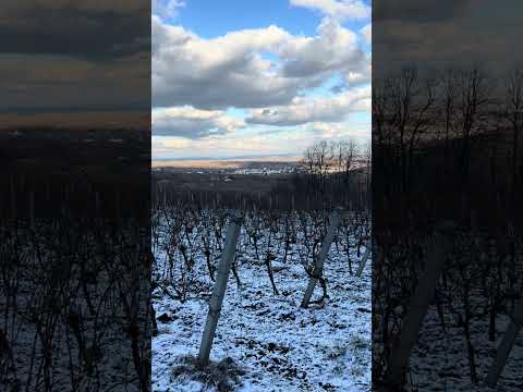 Pe dealurile Hușilor, sub norii timpului, spre curăție și veșnicie.