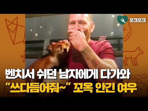 아이콘