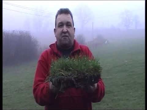 Dave The Brick...with a message tae St.Boswells RFC