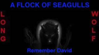 A flock of seagulls - Remember David - Extended Wolf