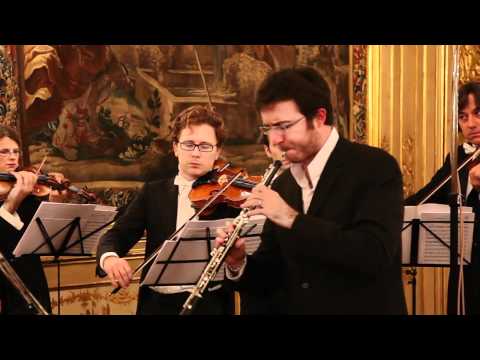 Alessandro Marcello, Concerto in re minore per oboe e orchestra