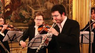 Alessandro Marcello, Concerto in re minore per oboe e orchestra