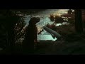 Homeward Bound The Incredible Journey Shadow S Wisdom Scene