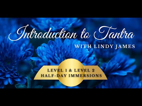 Play Video Youtube Video