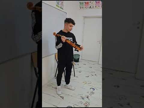 Părțile componente ale viorii