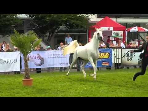 Al Khatab Al Thani in Frankfurt