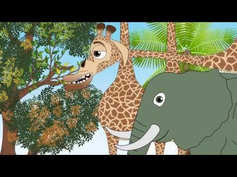 Ubongo Kids Webisode 22 - Umuhimu wa Takwimu