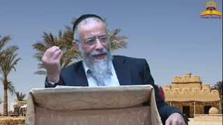 קדושת יוסף במצרים | הרב מיכאל לסרי (קו ההלכה הספרדי) - התמונה מוצגת ישירות מתוך אתר האינטרנט יוטיוב. זכויות היוצרים בתמונה שייכות ליוצרה. קישור קרדיט למקור התוכן נמצא בתוך דף הסרטון