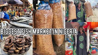 I bought all this and more for N60,000 equivalent to $36.46  @ N1,725 (Naira) to a $1 (US dollar) 😢
