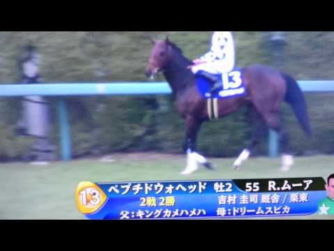 【馬基地TV】第66回 朝日杯フューチュリティS (GⅠ)【本馬場入場】
