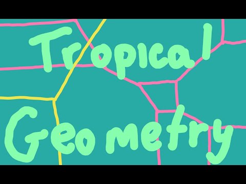 What is tropical geometry?