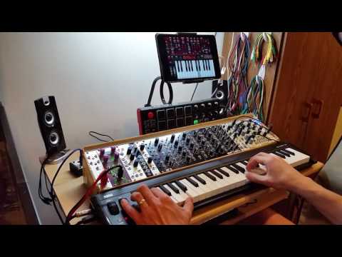 Poison-202 trance arp from scratch